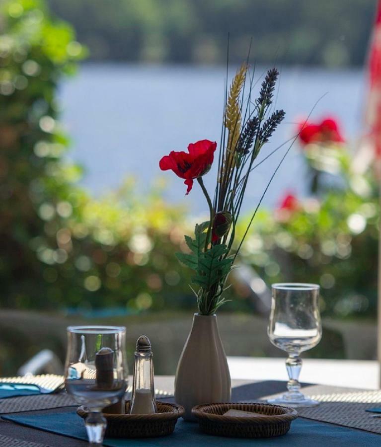 Logis Hotel du Lac Neuvic  Buitenkant foto